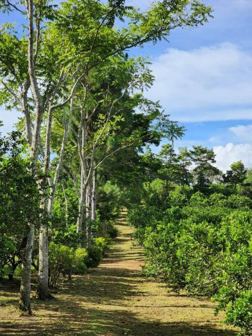 Hospedaje Finca Agroturistica Dona Rufa Rio Sereno Ngoại thất bức ảnh