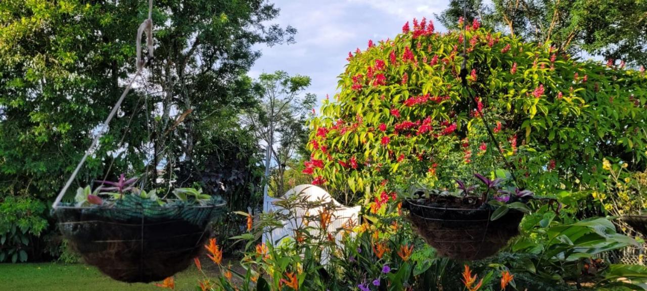 Hospedaje Finca Agroturistica Dona Rufa Rio Sereno Ngoại thất bức ảnh