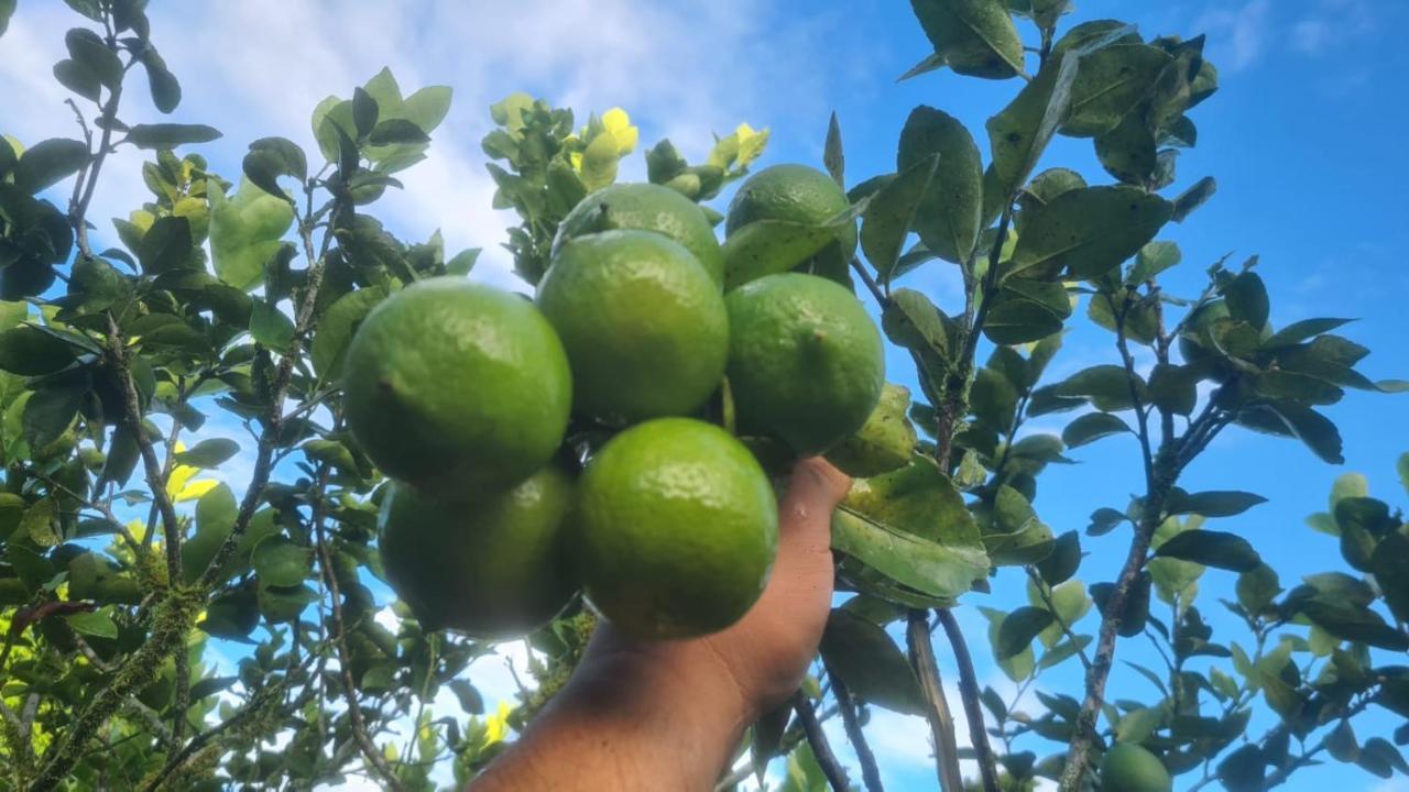 Hospedaje Finca Agroturistica Dona Rufa Rio Sereno Ngoại thất bức ảnh