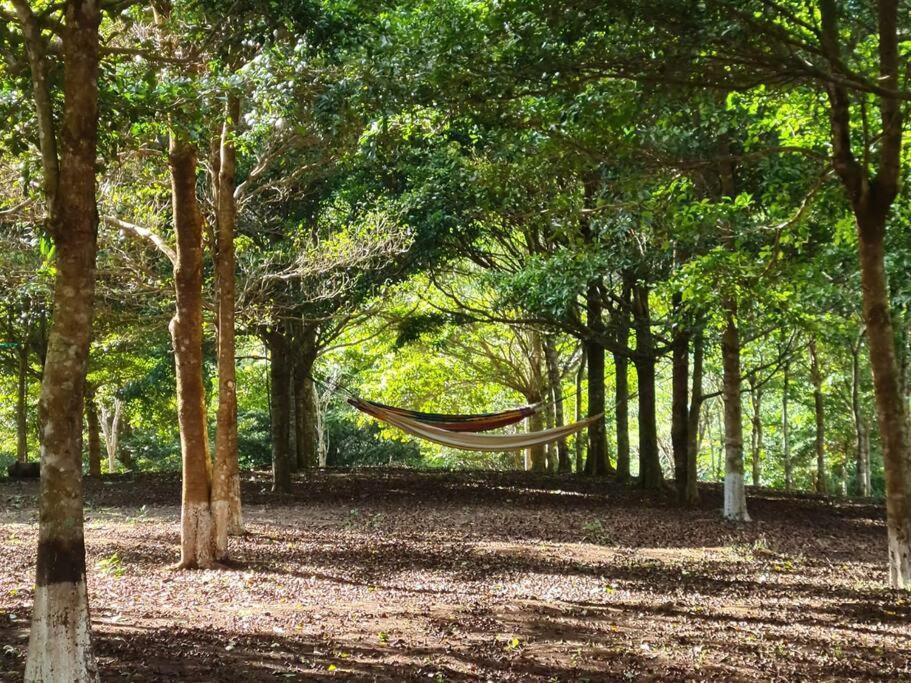 Hospedaje Finca Agroturistica Dona Rufa Rio Sereno Ngoại thất bức ảnh