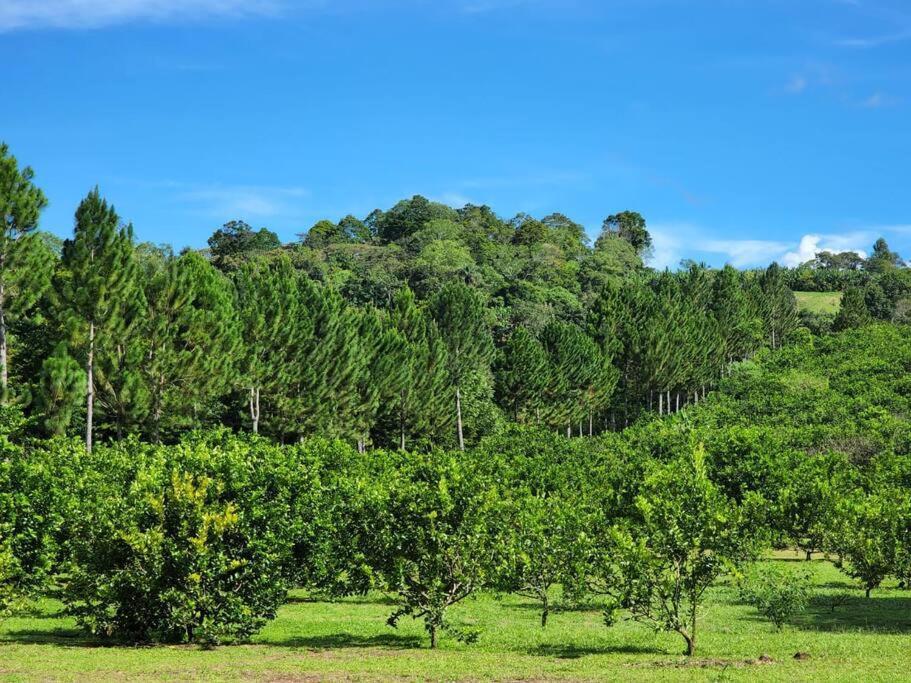 Hospedaje Finca Agroturistica Dona Rufa Rio Sereno Ngoại thất bức ảnh