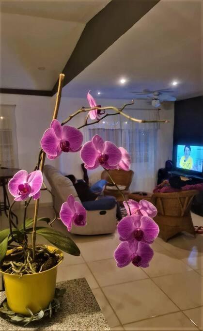 Hospedaje Finca Agroturistica Dona Rufa Rio Sereno Ngoại thất bức ảnh