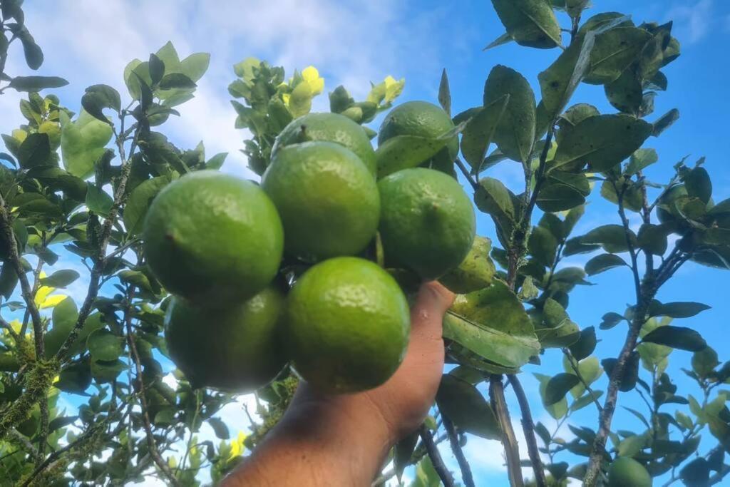 Hospedaje Finca Agroturistica Dona Rufa Rio Sereno Ngoại thất bức ảnh