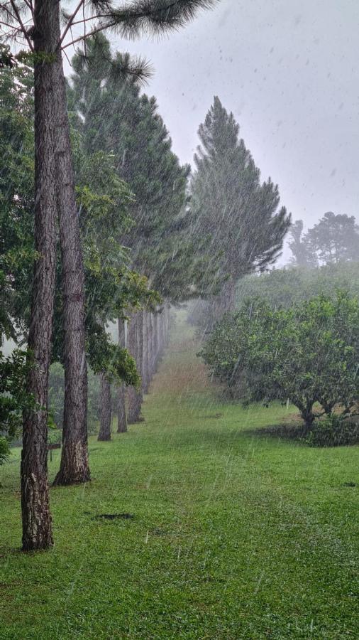 Hospedaje Finca Agroturistica Dona Rufa Rio Sereno Ngoại thất bức ảnh