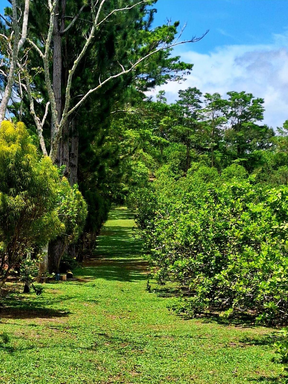 Hospedaje Finca Agroturistica Dona Rufa Rio Sereno Phòng bức ảnh
